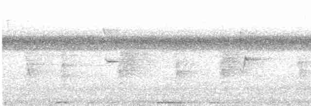 白喉林鴿 - ML614470102