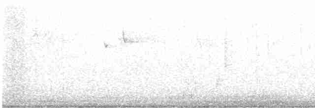 Красногрудый дятел-сокоед - ML614470559