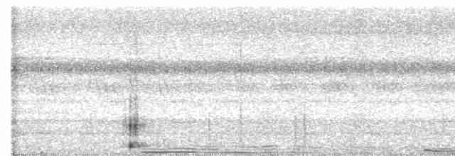 Great Eared-Nightjar - ML614471017