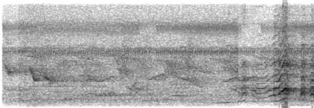Malabar Gray Hornbill - ML614473528