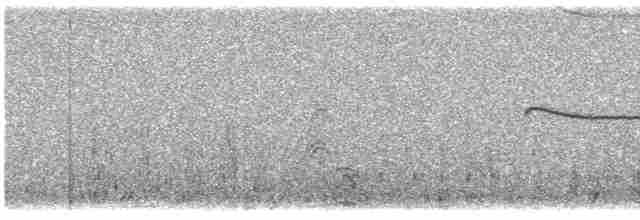 Патагонский мухолов - ML614473552
