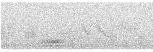 Патагонский мухолов - ML614473553