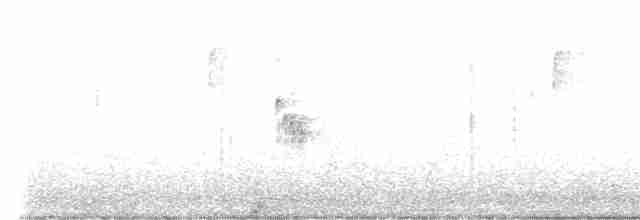 Karolina Çıtkuşu - ML614474514