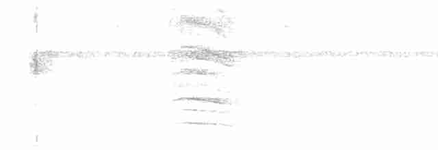 Зернолуск білогорлий - ML614477568