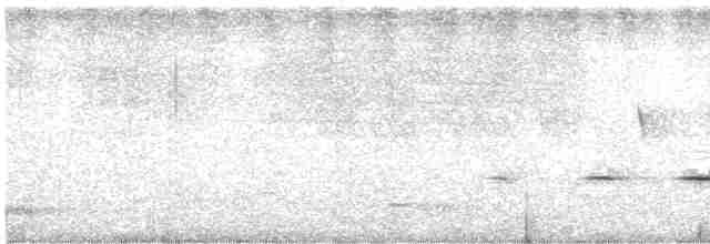 Spotted Quail-thrush - ML614477761