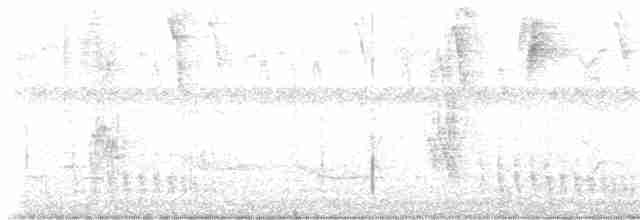 Graurücken-Dickichtschlüpfer - ML614478470