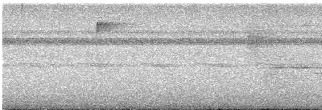 Halsband-Ameisenvogel - ML614480354