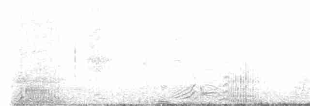 疣鼻天鵝 - ML614480647