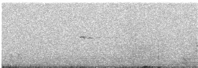 Tinamou carapé - ML61448071