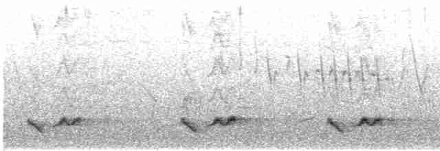 Black-streaked Scimitar-Babbler - ML614482797