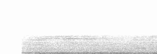Weißbart-Seeschwalbe - ML614482887
