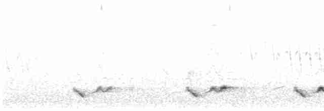 Тимелія-криводзьоб рудобока - ML614483826