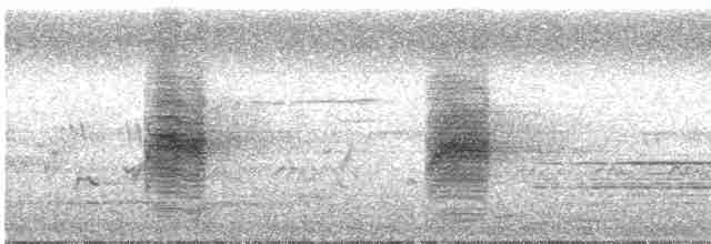 Long-tailed Shrike - ML614487627