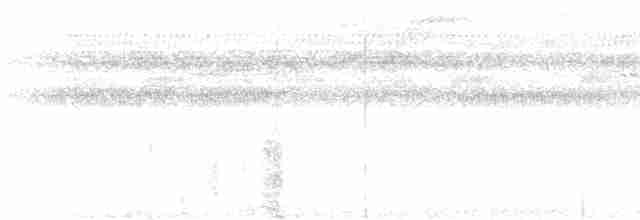 Great Tinamou - ML614487911