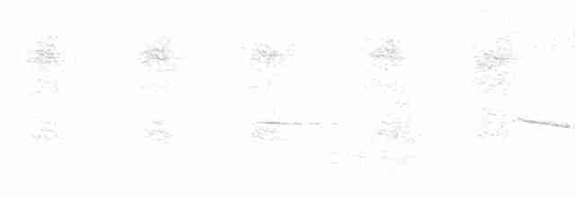 Çizgili Pufkuşu (striata) - ML614488868