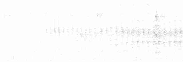 Élénie à tête grise - ML614488970