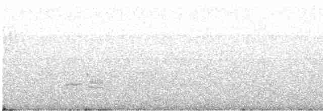 Iberian Gray Shrike - ML614489015
