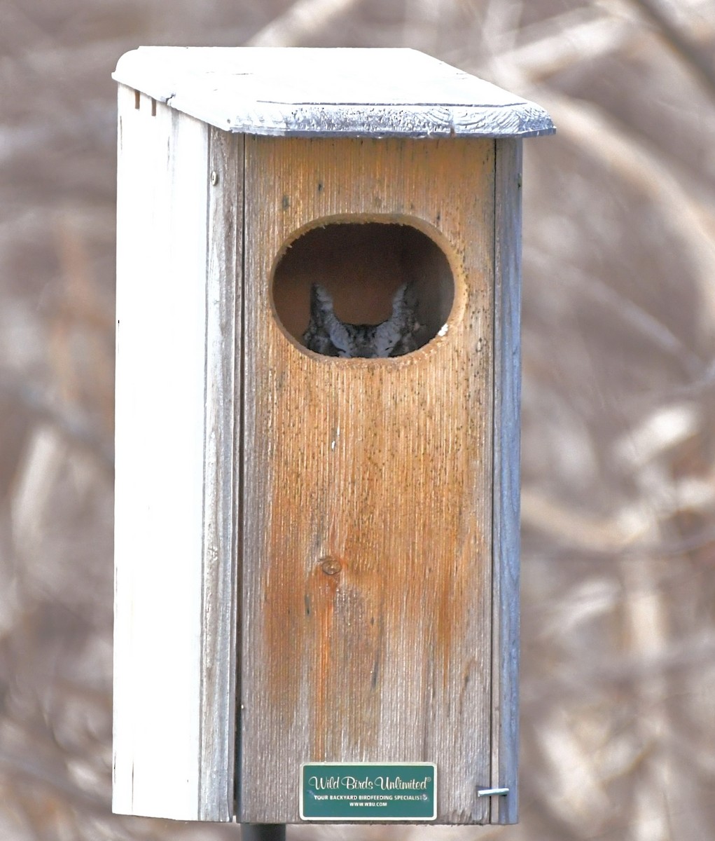 eBird Checklist 6 Feb 2024 7325 West Forest Home Avenue, Greenfield