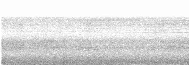 holoubek šedomodrý - ML614495203