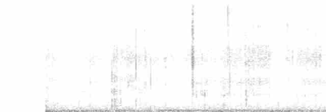 Галапагосская качурка - ML614497077