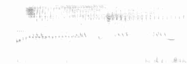 Кузнечиковая овсянка-барсучок - ML614499784