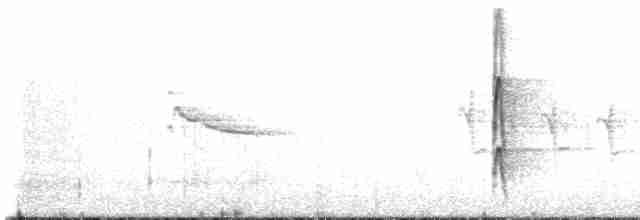 strakapoud proužkohřbetý - ML614505561