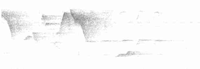 Дятел-куцохвіст чорночубий - ML614511050