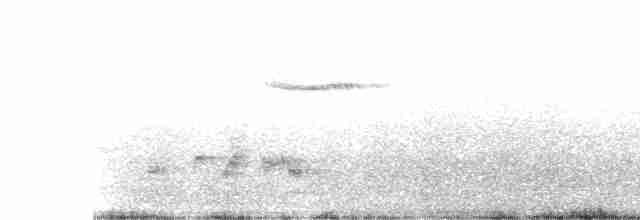 白斑紫嘯鶇 - ML614511400