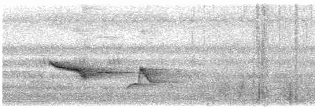 Turuncu Başlı Ardıç - ML614511621