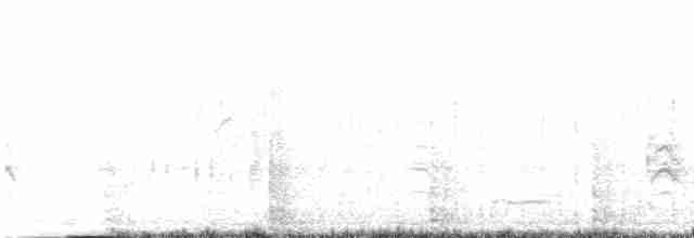 Long-tailed Shrike - ML614512880