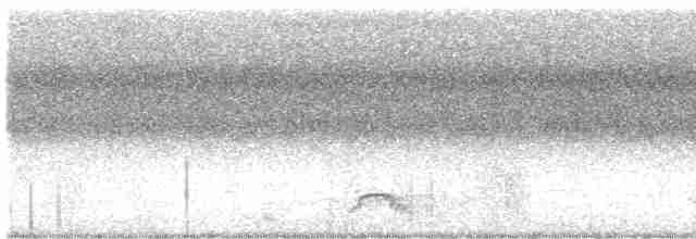 Spotless Crake - ML614515160