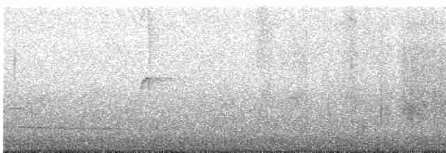 Colibri géant - ML614517173