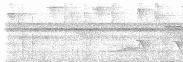 Dreibinden-Ameisenvogel - ML614517697