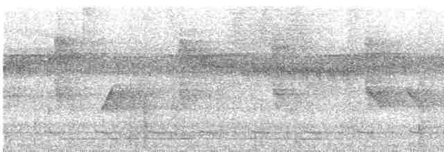 Todirostre zostérops - ML614517714