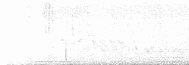holub grenadský - ML614517887