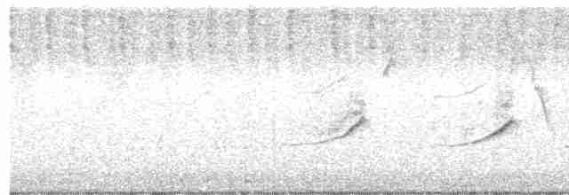 Ak Karınlı Tohumcul - ML614518825