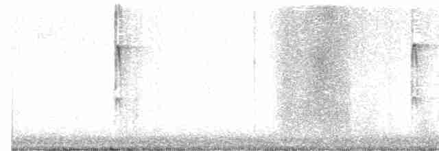 strakapoud osikový - ML614521235