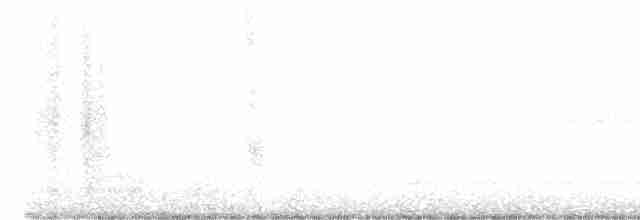 Рыжебрюхий фиби - ML614521356