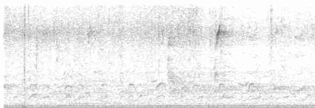 Kuzey Amerika Kara Ağaçkakanı - ML614521519