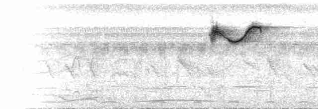 Pembe Göğüslü Öksekuşu - ML614521984