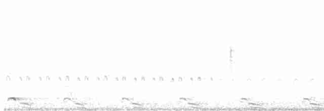 オビハシカイツブリ - ML614523292