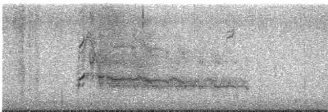 Краснохвостый канюк (kriderii) - ML614525666