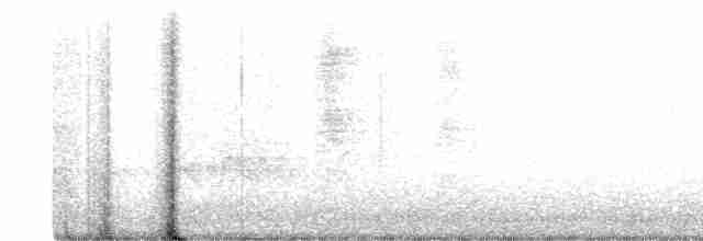 Серогрудый тиранн - ML614525729