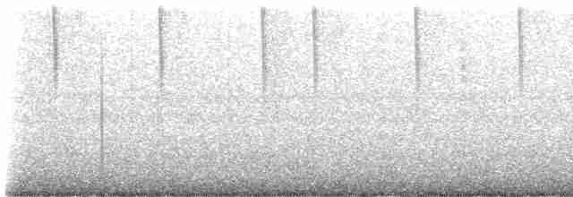 Алленов колибри - ML614530168