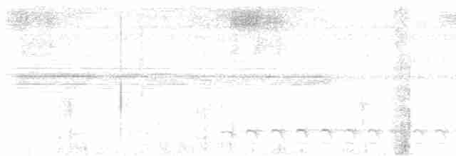 Black-crowned Antshrike - ML614530476