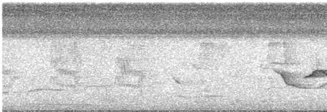 Spot-breasted Wren - ML614533260