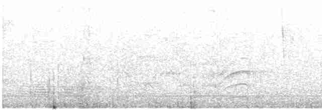 Бледногорлый миарх - ML614534145