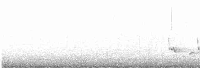 Каролинский крапивник - ML614537160
