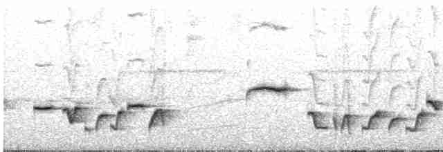 Troglodyte de Negret - ML614539869