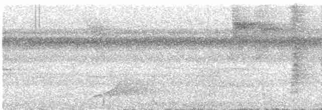 Медовичка фіджійська - ML614540453